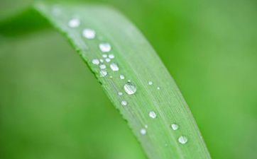 2023年谷雨能够干些什么 开海 赏花