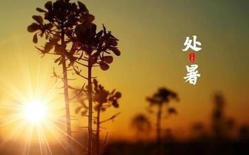 2023年处暑节气由来和风俗 24节气小暑来历(3篇)（完好）