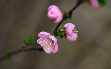 2023躲春几点到几点 怎么躲春？ 关门避人独处