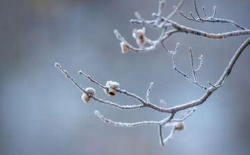 2023年腊月十四合适搬迁吗 今天黄历有哪些宜忌