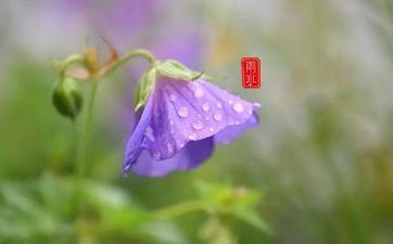 2023年雨水是几月几号 雨水节气的意义
