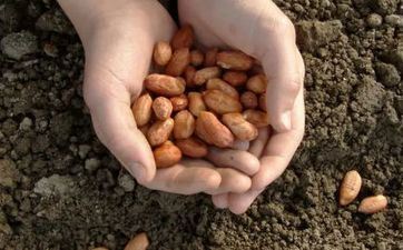 2023年小满节气能够剪头发吗 这天不能做什么