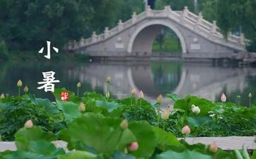 2023年小暑合适成婚吗 民间成婚传统风俗