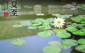 2023年6月21日夏至搬迁好不好 这天搬迁适宜吗