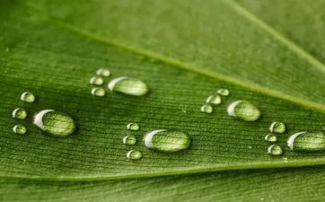 2023年雨水是几月几几点几分 2月19日0点42分雨水