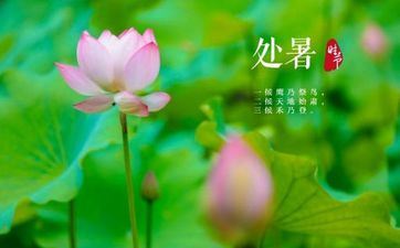 2023年处暑祝愿短信15篇