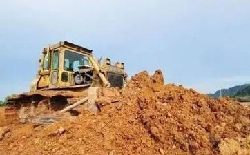 2023年虎年孩子是什么命 俗称为水虎之命 2023年虎年孩子是什么命 俗称为水虎之命