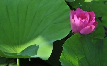 2023年6月21日夏至能不能成婚 2023年6月21日合适出嫁吗