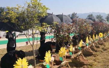 安葬好日子2023年9月 安葬黄道好日子查询2023年9月