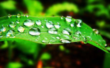 2023年白露节气详细时刻