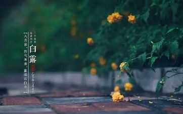 2023年阴历八月十一白露搬迁吉祥吗 适不合适搬入新家