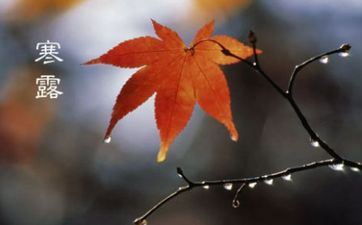 2023年10月8日入宅怎么样 2023年10月8日阴历八月二十四寒露是黄道好日子吗