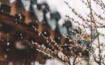 2023年立春是几点几分几秒