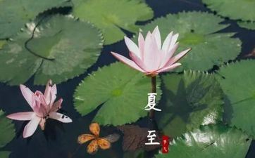 2023年夏至热吗 2023年夏至气候状况