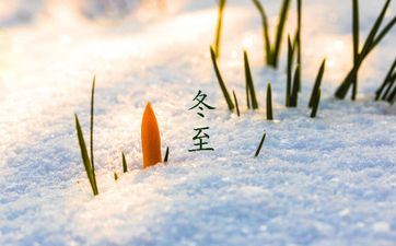 2023年立冬出世的宝宝好不好 后代兴隆暮景美好