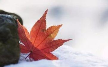 2023年小寒节气是哪天？小寒时节需求什么运动？