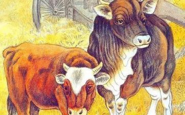 2022虎年在10月属相属牛宜开工的良辰好日子 2022年10月好日子一览表