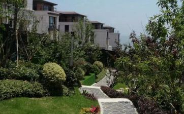 冲蛇煞西当天合适属蛇的搬迁吗 选搬迁公司有哪些留意事项？