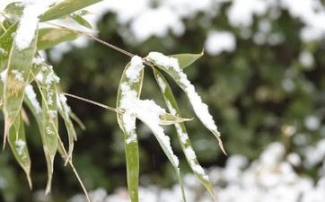 2022年大雪节气搬迁好吗 2022年12月7日能搬迁吗？