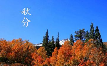 2022立秋和秋分哪个在前 2022年立秋先到仍是秋分先到