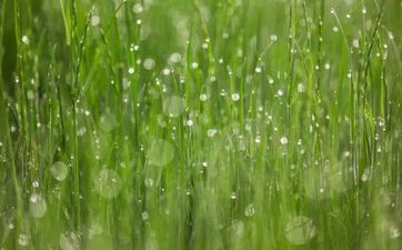 兔年2023闰二月二十二日理发怎么样？是剪发好日子吗