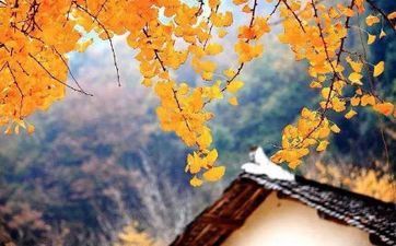 2023年雨水几月几号几分几秒 雨水有哪些风俗