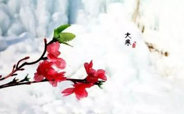 2023年大寒是几月几日几点几分 大寒三候