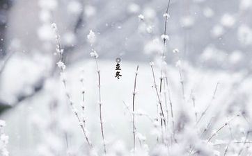 立冬之后会冷吗 立冬是什么气候