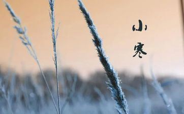 2022年小寒十二月十四合适开工吗 2022年小寒十二月十四合适开工吗