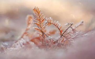 2021年霜降理发好不好？一天中什么时刻理发最好？