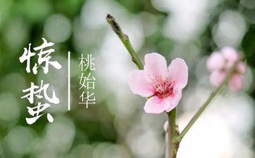 2023年3月6日惊蛰合适提车吗 2023年3月6日是不是黄道好日子