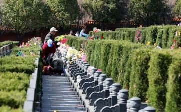 清明节放假调休组织2023 清明节放假2023组织时刻表