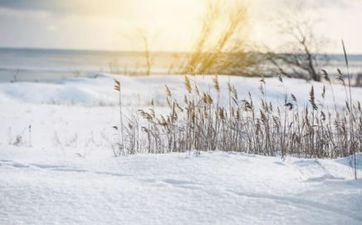 小寒时节的风俗及摄生要害 小寒时节的风俗及摄生要害