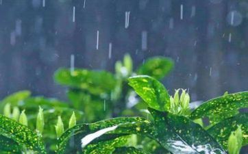 2023年雨水正月二十九的今天财神方位详细分析