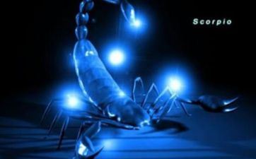 2022年阴历十月二十五星座查询 天蝎座上升星座是什么？