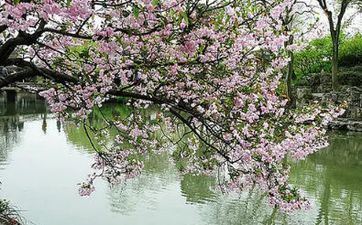 2023年立春是几月几日 2023年立春是什么时分