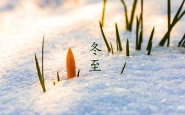 冬至后白日一天比一天长吗？冬至的日照规范是什么？