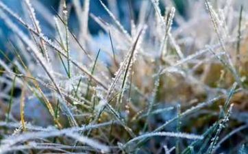 2021年霜降出世的人是什么星座？和哪些星座合得来？