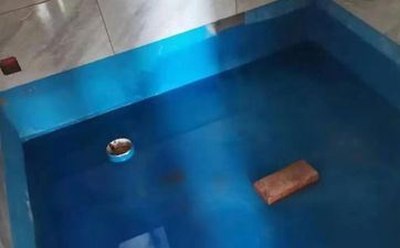 2023年3月5日是装饰最佳日期吗 2023年3月5号合适装饰吗