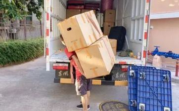 搬迁需求的六样生果 “橘”祥满意