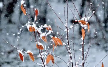 小雪气温一般多少度？小雪打雷有什么说法？