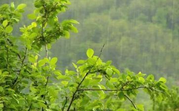 2023年2月19日雨水能够挂号成婚么 婚期定于2023年2月19号