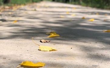 2023年什么时候立秋 立秋时刻几点几分2023