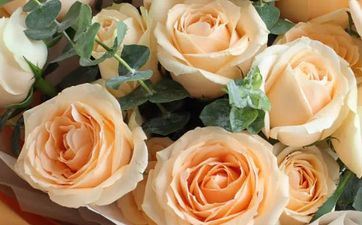 原创            从七夕开端 桃花运不错的3个星座 会提前脱单 也能旧情复燃