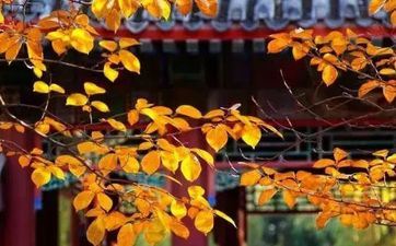 秋分的涵义和标志 丰盈之时人体留意摄生