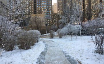 2023年哪天立春什么时间立春