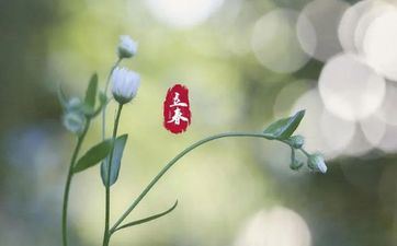 2023年2月4日立春合适提新车吗 2023年立春能够提车吗