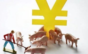 属猪2021年成婚好日子 2021年属猪的几月份成婚好