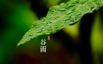 今日能够经商吗 2023年4月20日谷雨开市怎么样