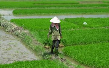 2023年春分是几月几号 春分的风俗食物